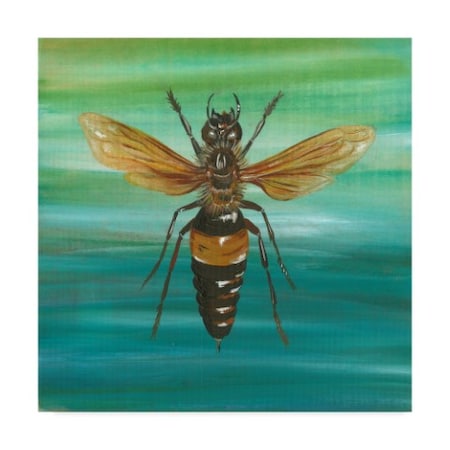 Gigi Begin 'Honey Bee Texture' Canvas Art,14x14